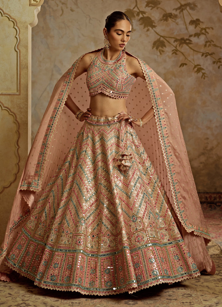 Peach Gota And Mirror Embroidered Tissue Lehenga