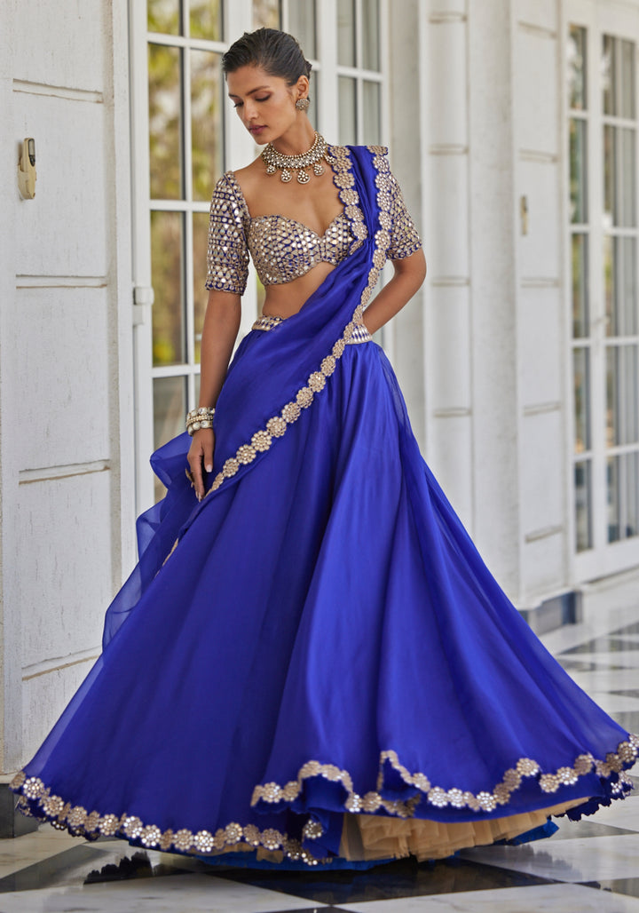 Blue Organza Lehenga With Embroidered Elbow Sleeves Blouse
