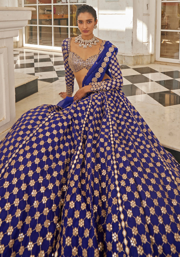 Blue Flower Embroidered Lehenga With Full Sleeves Blouse