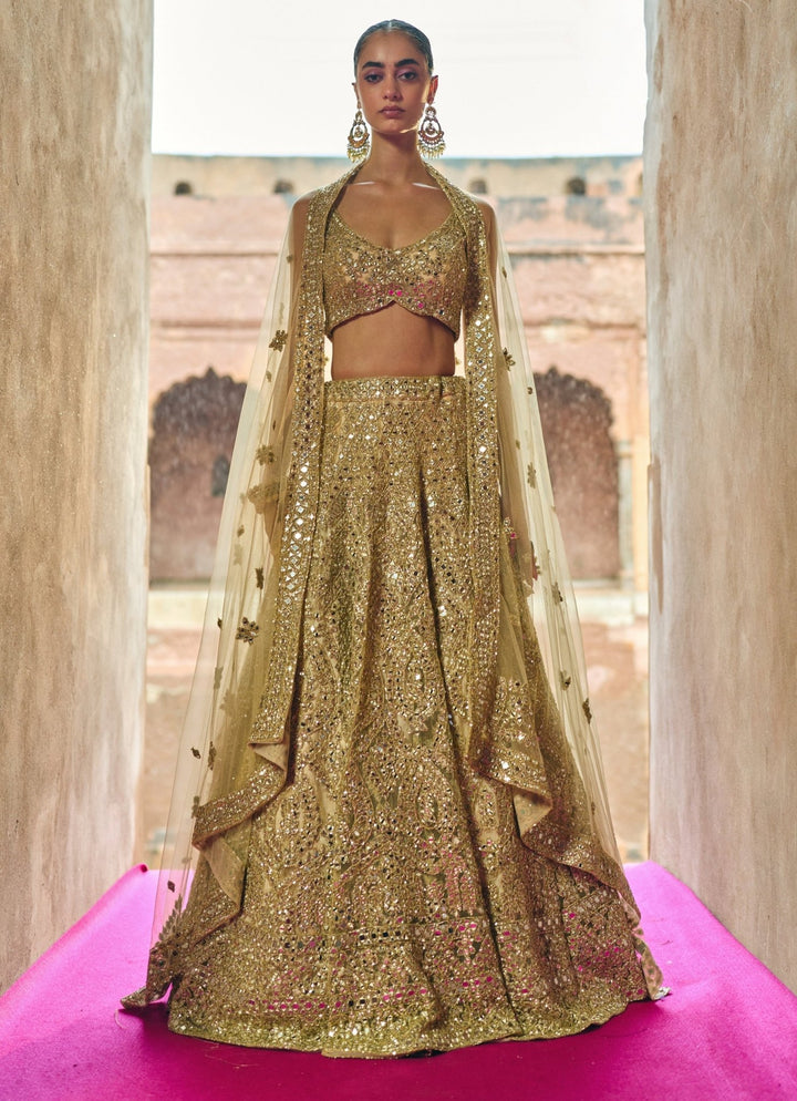 Antique Gold Soft Net Lehenga Set Angad Singh - Fabilicious Fashion