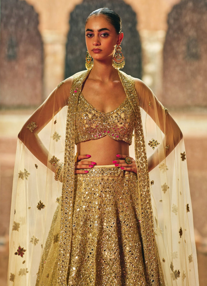 Antique Gold Soft Net Lehenga Set Angad Singh - Fabilicious Fashion