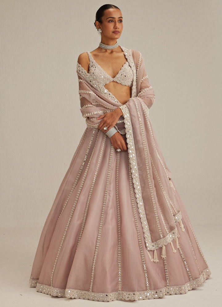 Ash Pink Embroidered Organza Lehenga Set Vvani by Vani Vats - Fabilicious Fashion