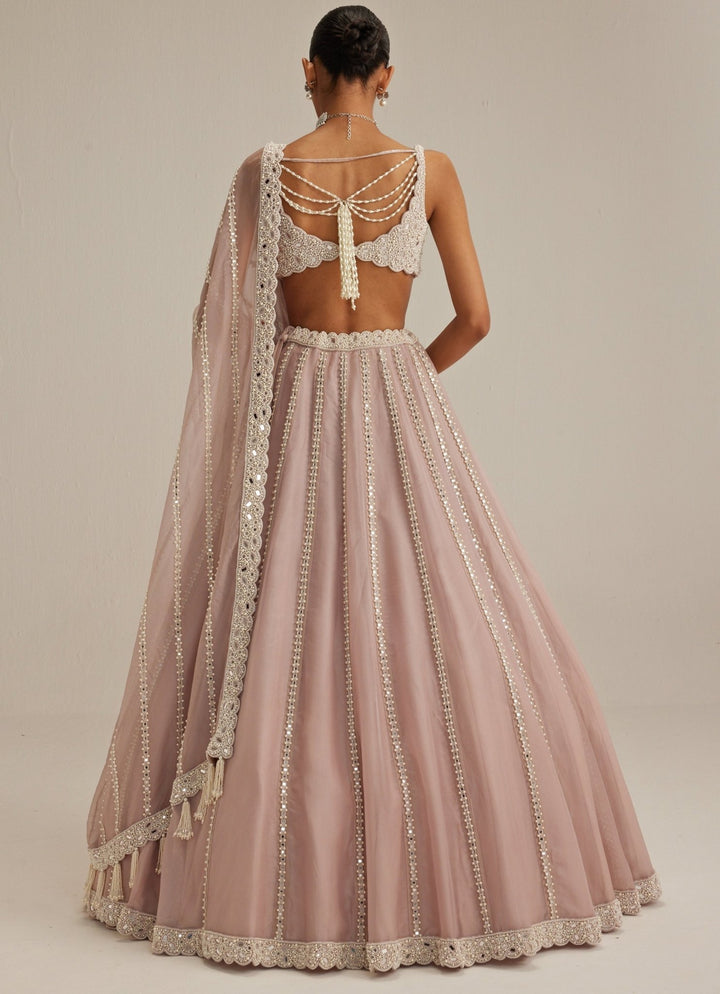 Ash Pink Embroidered Organza Lehenga Set Vvani by Vani Vats - Fabilicious Fashion