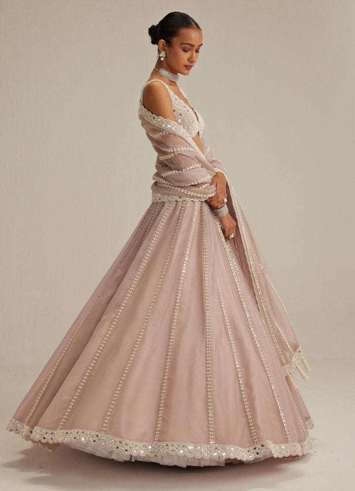 Ash Pink Embroidered Organza Lehenga Set Vvani by Vani Vats - Fabilicious Fashion
