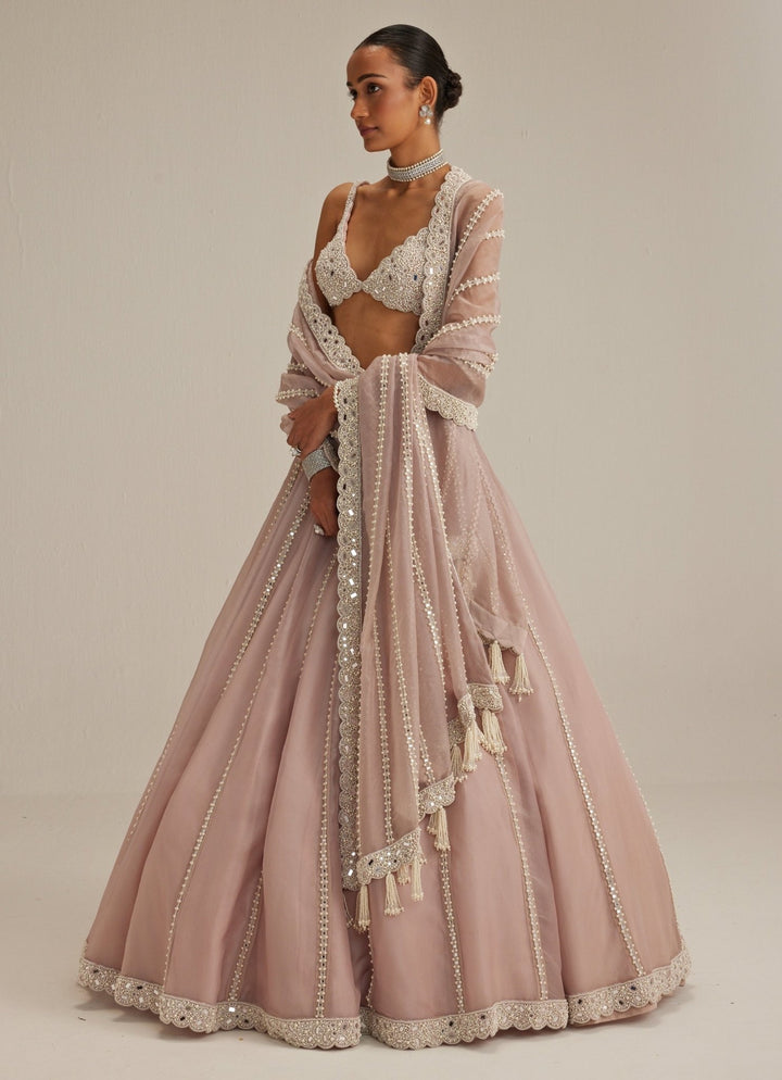 Ash Pink Embroidered Organza Lehenga Set Vvani by Vani Vats - Fabilicious Fashion