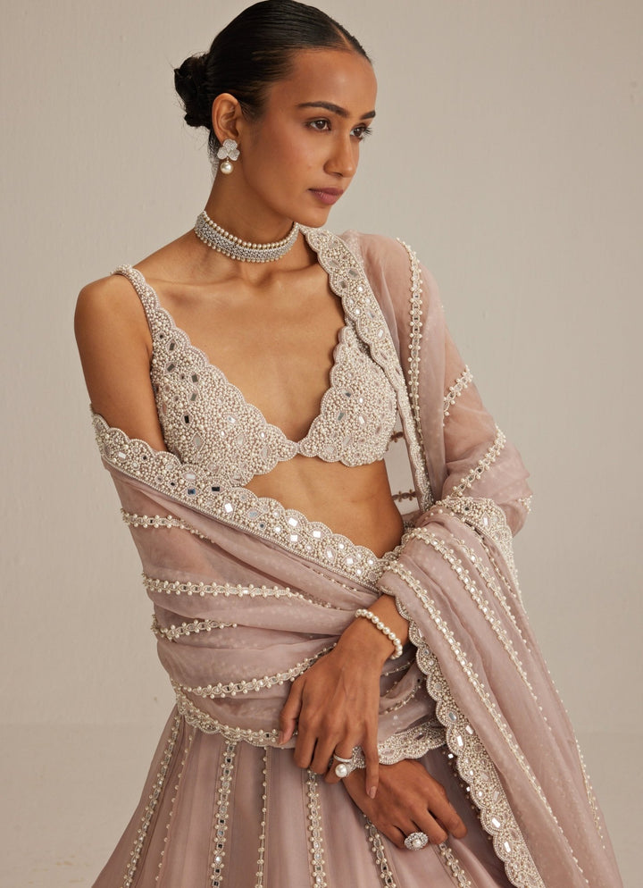 Ash Pink Embroidered Organza Lehenga Set Vvani by Vani Vats - Fabilicious Fashion