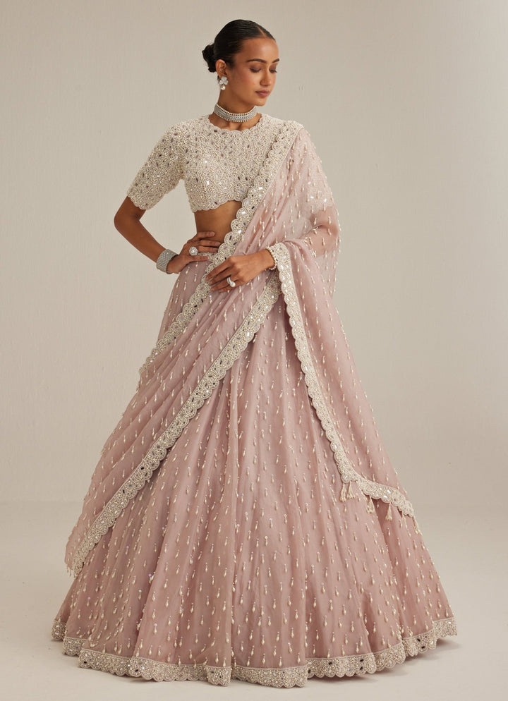 Ash Pink Organza Classic Lehenga Set Vvani by Vani Vats - Fabilicious Fashion