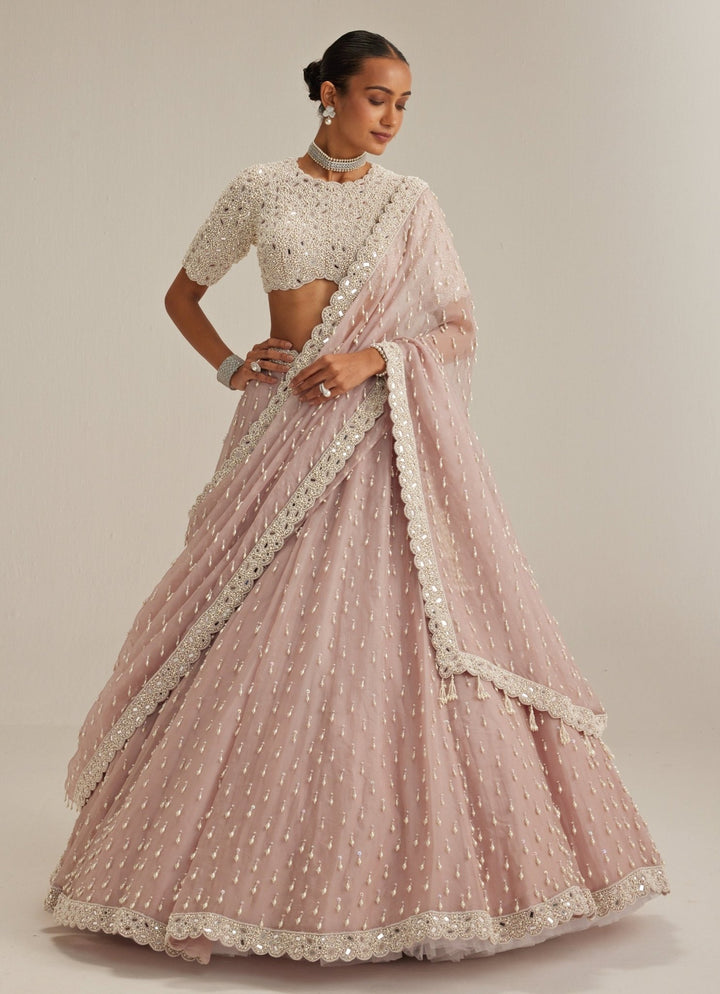 Ash Pink Organza Classic Lehenga Set Vvani by Vani Vats - Fabilicious Fashion