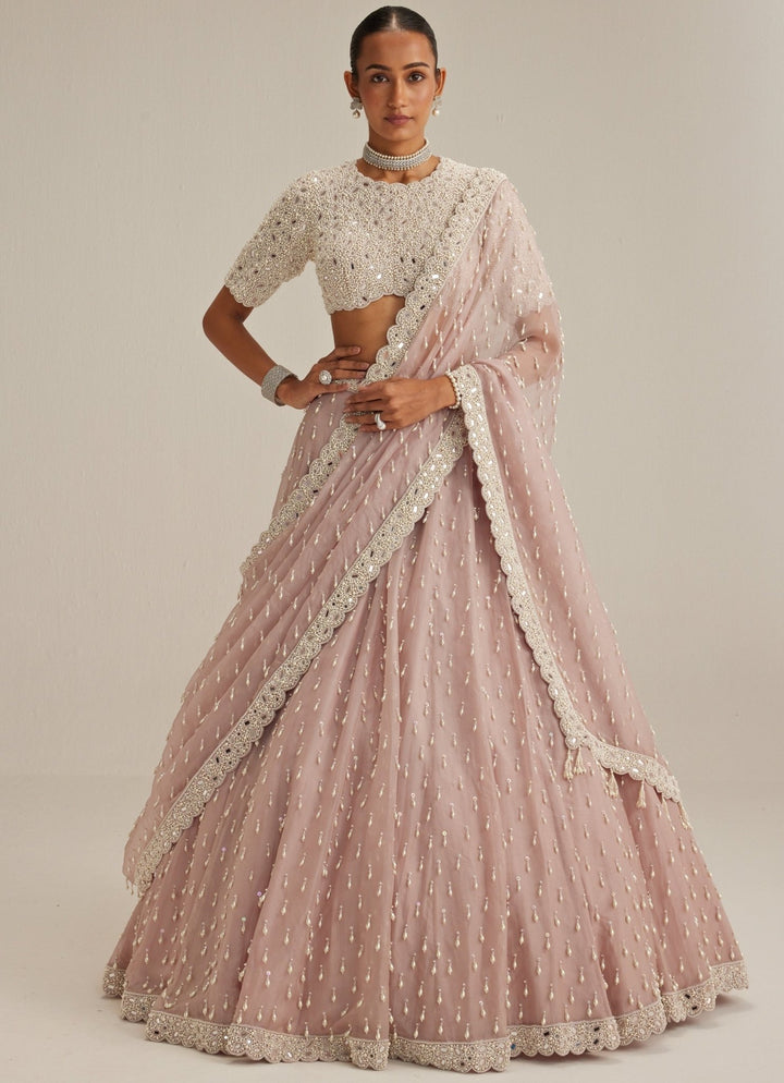 Ash Pink Organza Classic Lehenga Set Vvani by Vani Vats - Fabilicious Fashion