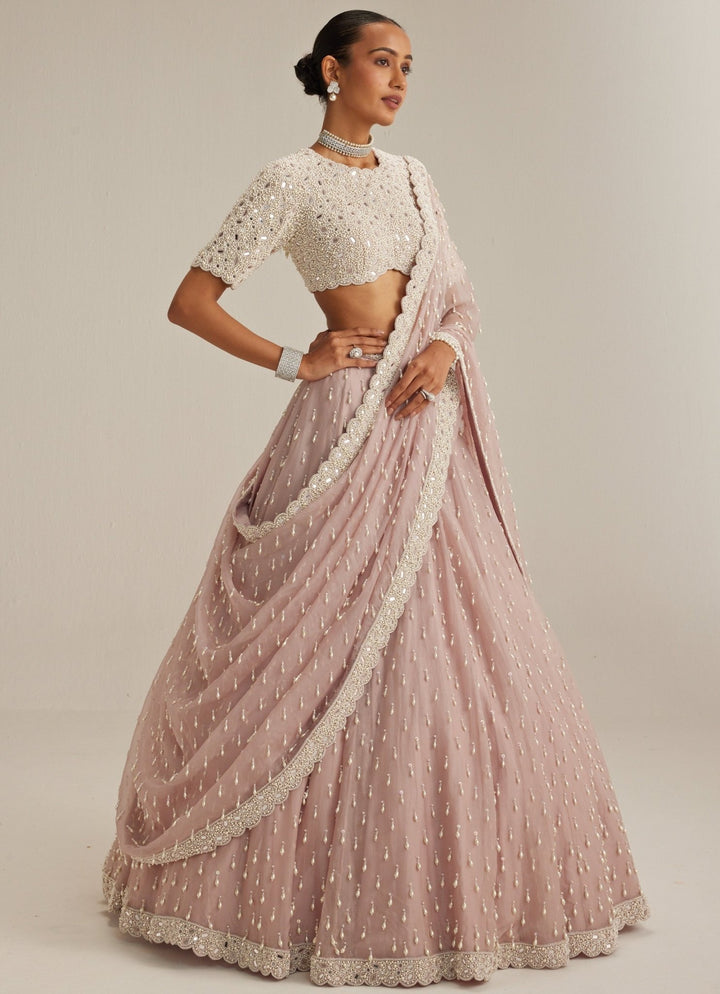 Ash Pink Organza Classic Lehenga Set Vvani by Vani Vats - Fabilicious Fashion
