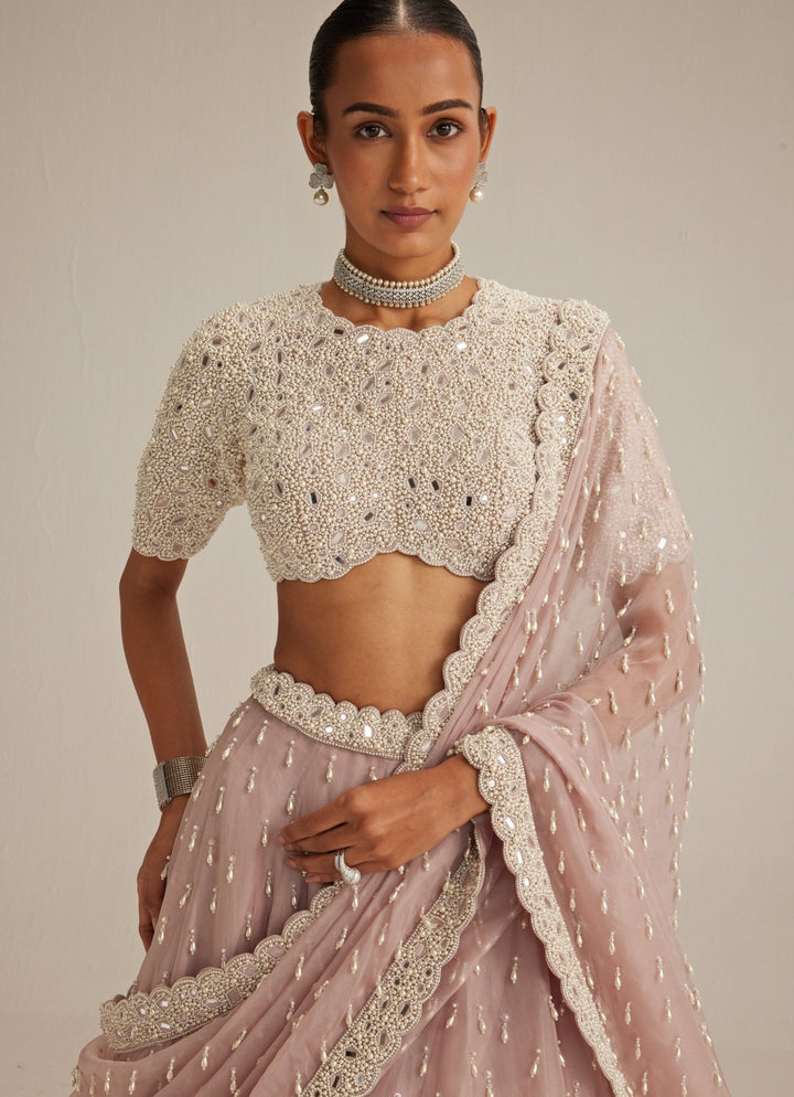 Ash Pink Organza Classic Lehenga Set Vvani by Vani Vats - Fabilicious Fashion