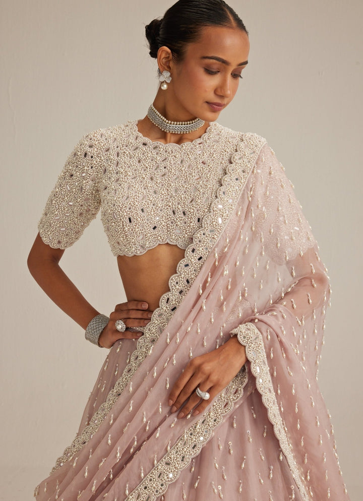 Ash Pink Organza Classic Lehenga Set Vvani by Vani Vats - Fabilicious Fashion