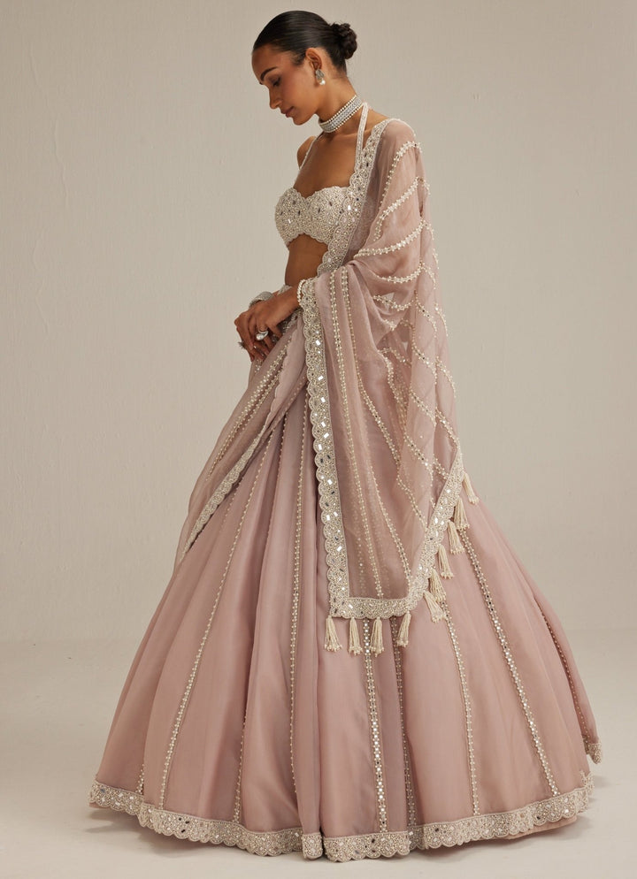 Ash Pink Organza Lehenga With Halter Blouse Vvani by Vani Vats - Fabilicious Fashion