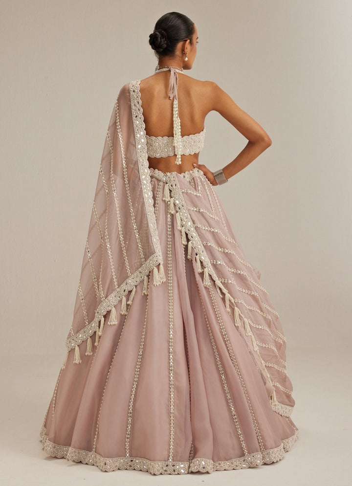 Ash Pink Organza Lehenga With Halter Blouse Vvani by Vani Vats - Fabilicious Fashion