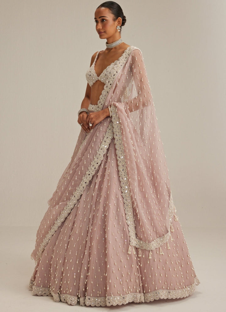 Ash Pink Pearl Drop Organza Lehenga Set Vvani by Vani Vats - Fabilicious Fashion