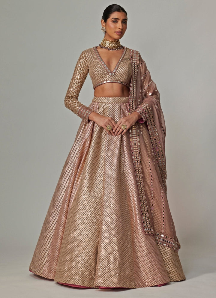 Beige And Blush Pink Embroidered Lehenga Set With Dupatta Vvani by Vani Vats - Fabilicious Fashion