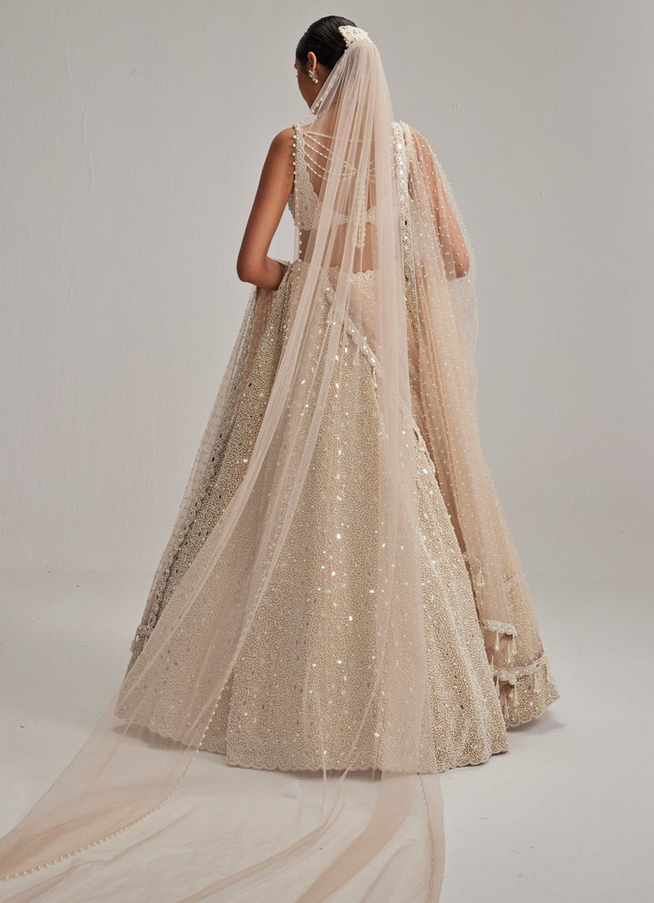 Beige Gold Bridal Lehenga With Double Dupatta And Veil Vvani by Vani Vats - Fabilicious Fashion