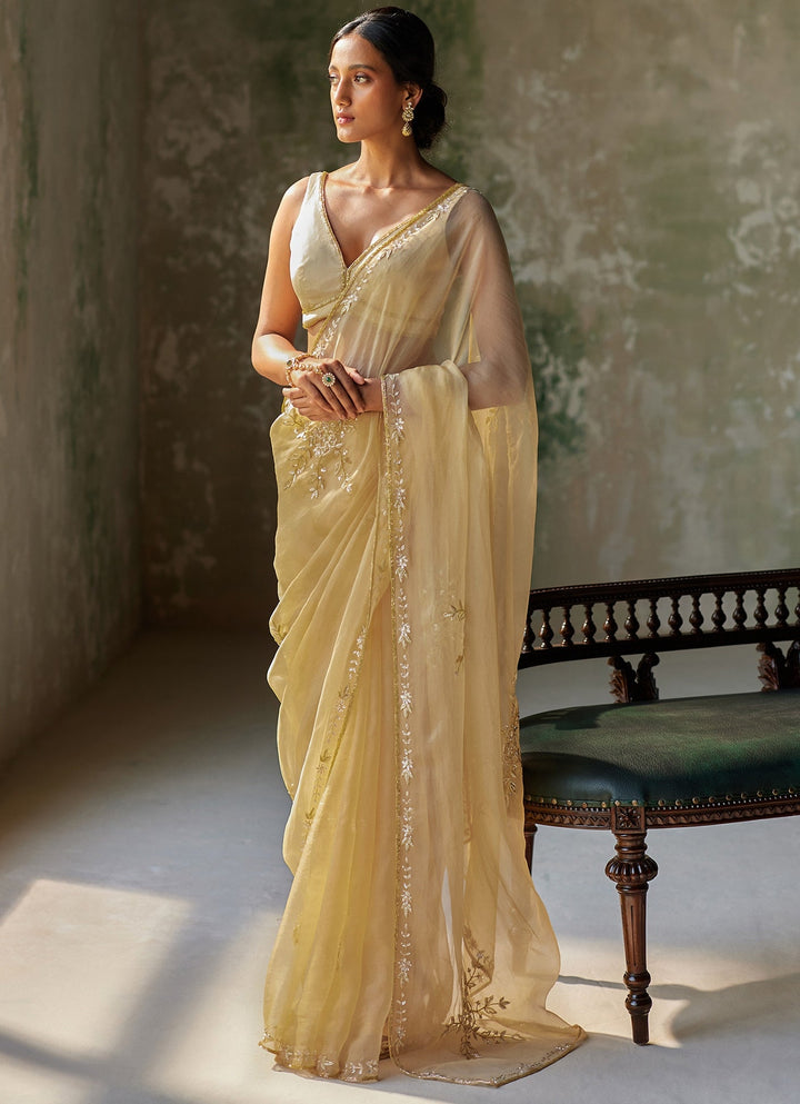 Beige Gold Embroidered Pure Silk Organza Saree Zoon Tribe - Fabilicious Fashion