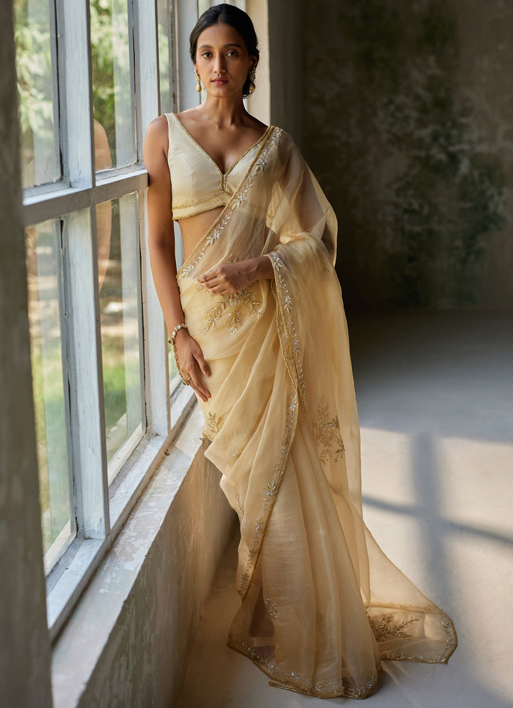 Beige Gold Embroidered Pure Silk Organza Saree Zoon Tribe - Fabilicious Fashion