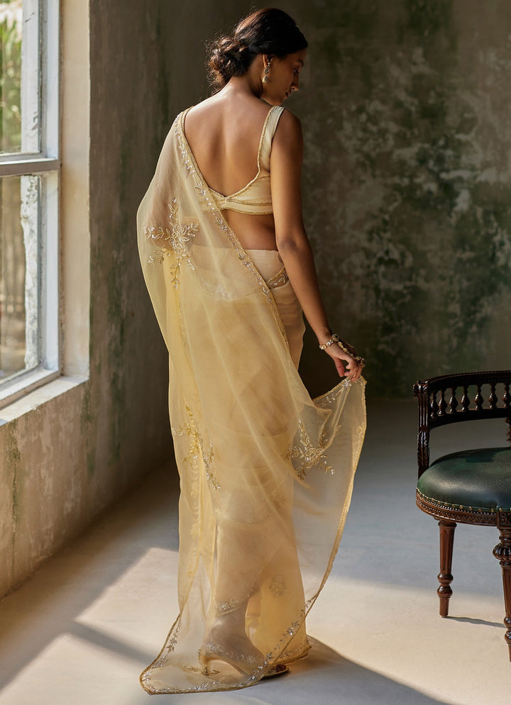 Beige Gold Embroidered Pure Silk Organza Saree Zoon Tribe - Fabilicious Fashion