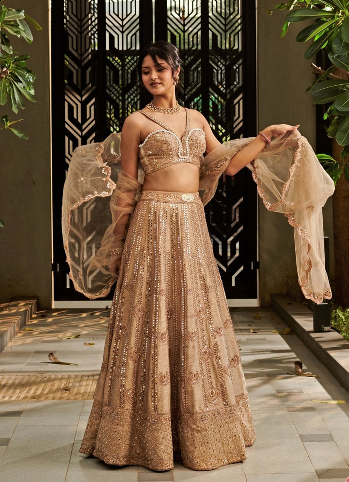 Beige Gold Raw Silk Zari And Mirror Embroidered Lehenga Set Jigar and Nikita - Fabilicious Fashion