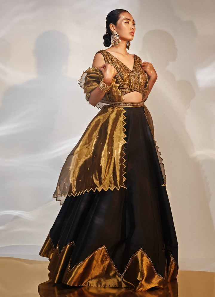 Black and Gold Embroidered Lehenga Set Akara - Fabilicious Fashion