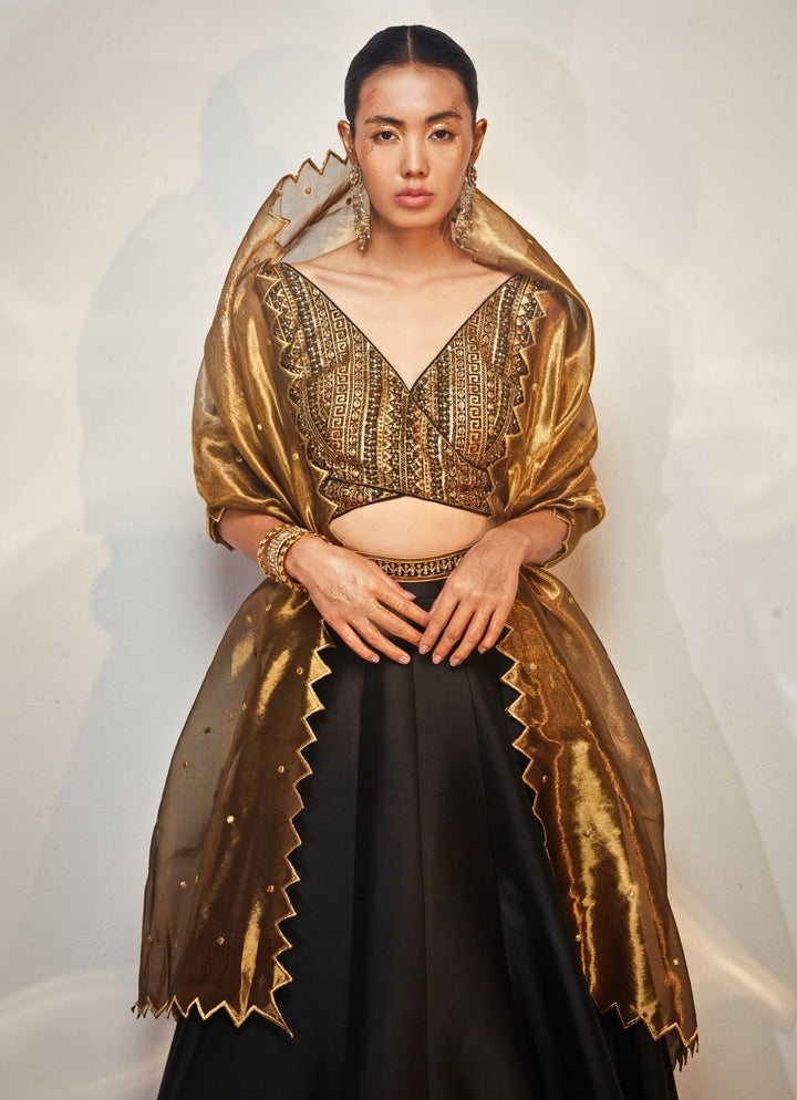 Black and Gold Embroidered Lehenga Set Akara - Fabilicious Fashion