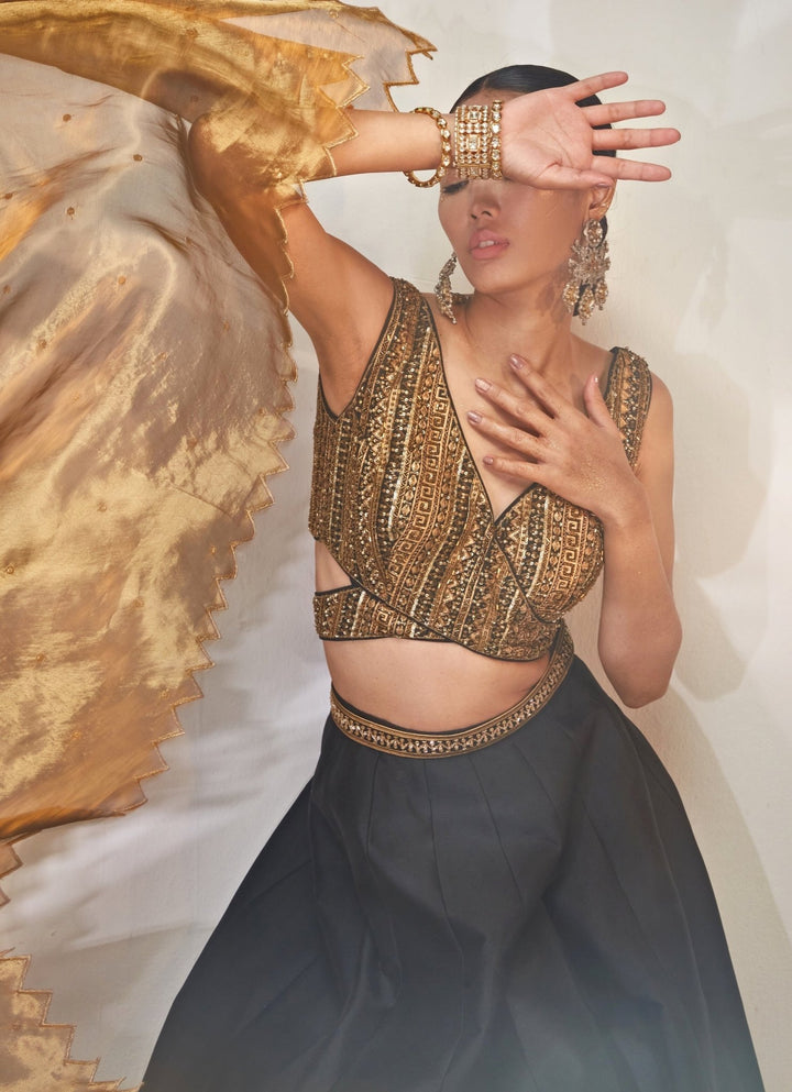 Black and Gold Embroidered Lehenga Set Akara - Fabilicious Fashion