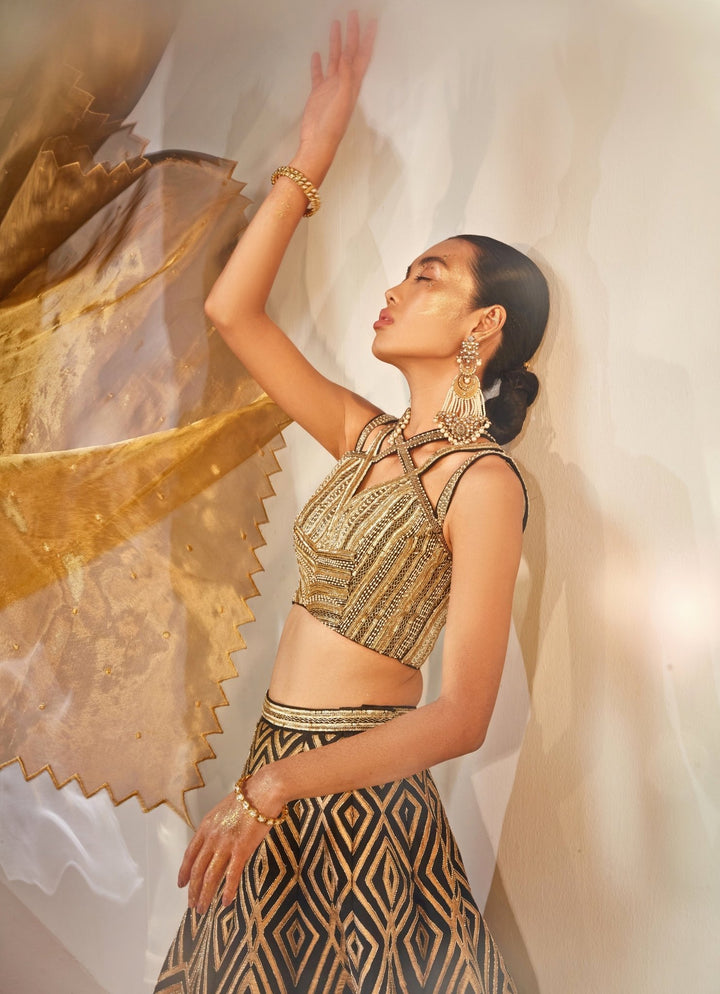 Black Embroidered Silk Lehenga Set Akara - Fabilicious Fashion