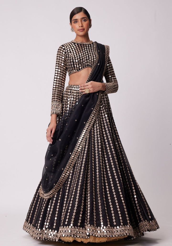 Black Linear Lehenga With Embroidered Full Sleeves Blouse Vvani by Vani Vats - Fabilicious Fashion