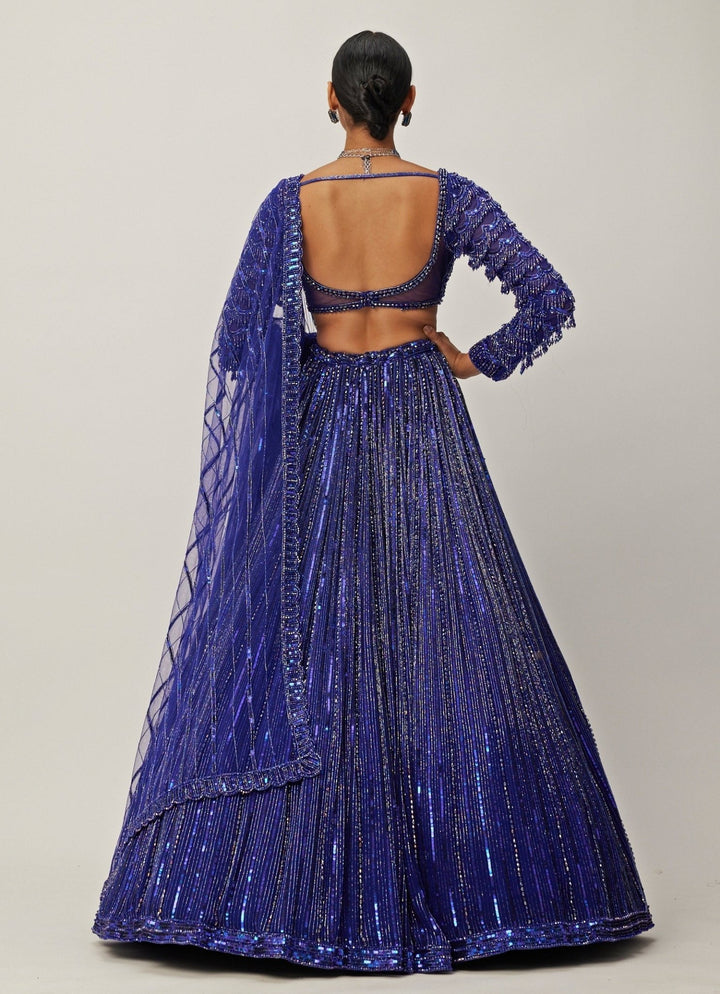 Blue Crystal Linear Embroidered Georgette Lehenga Set Vvani By Vani Vats - Fabilicious Fashion