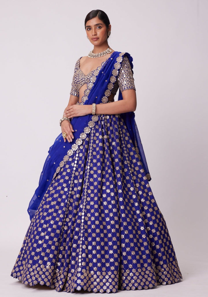 Blue Flower Embroidered Lehenga With Elbow Sleeves Blouse Vvani by Vani Vats - Fabilicious Fashion