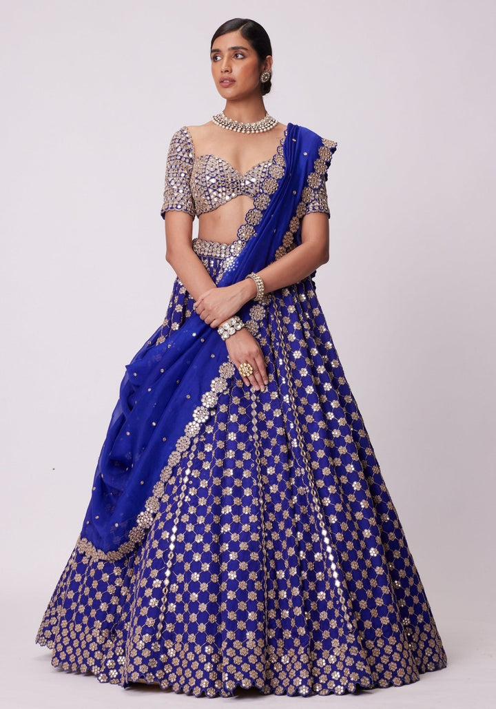 Blue Flower Embroidered Lehenga With Elbow Sleeves Blouse Vvani by Vani Vats - Fabilicious Fashion