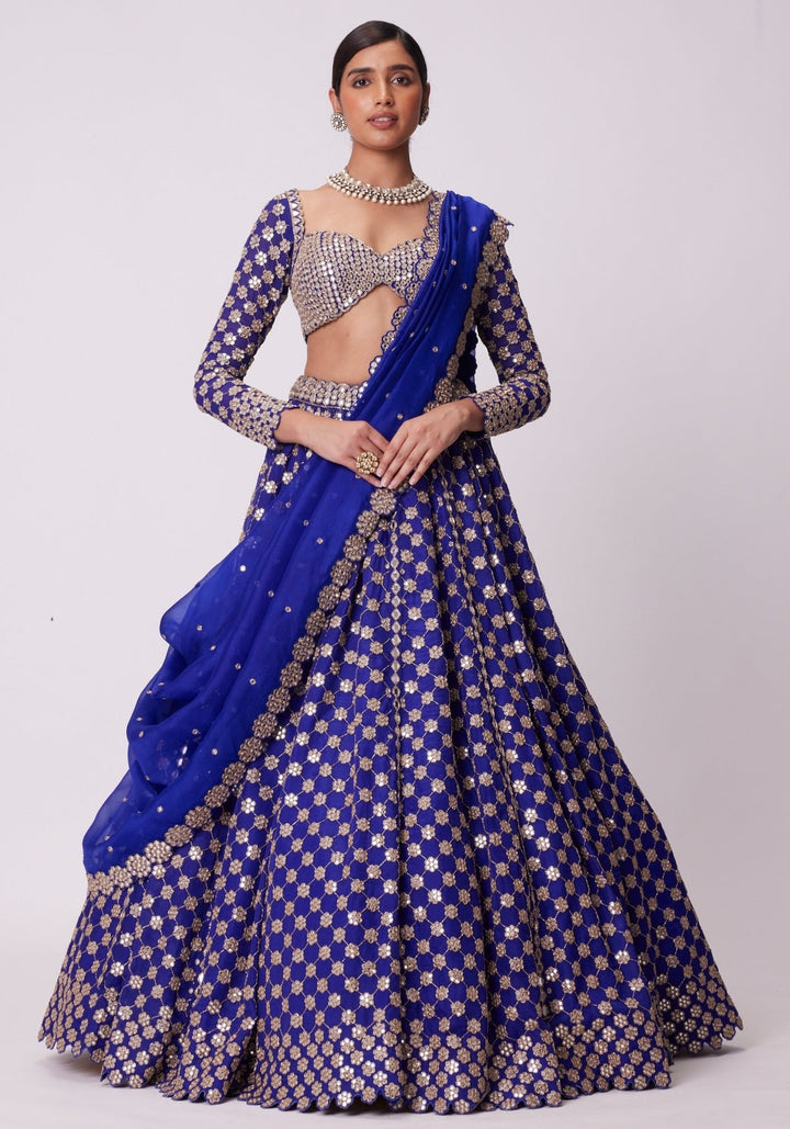 Blue Flower Embroidered Lehenga With Full Sleeves Blouse Vvani by Vani Vats - Fabilicious Fashion