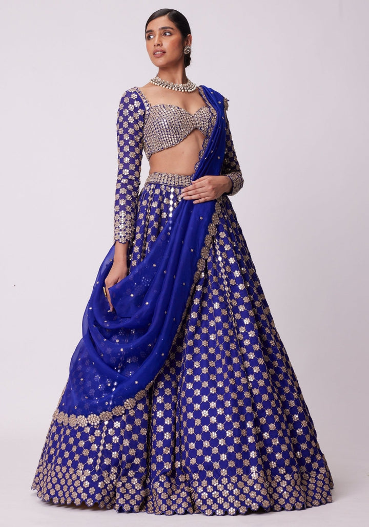 Blue Flower Embroidered Lehenga With Full Sleeves Blouse Vvani by Vani Vats - Fabilicious Fashion