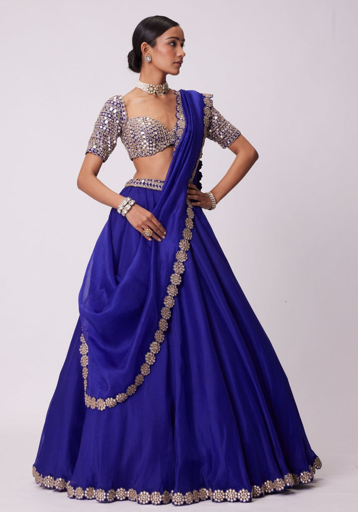 Blue Organza Lehenga With Embroidered Elbow Sleeves Blouse Vvani by Vani Vats - Fabilicious Fashion