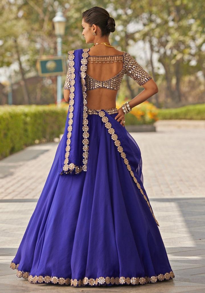 Blue Organza Lehenga With Embroidered Elbow Sleeves Blouse Vvani by Vani Vats - Fabilicious Fashion