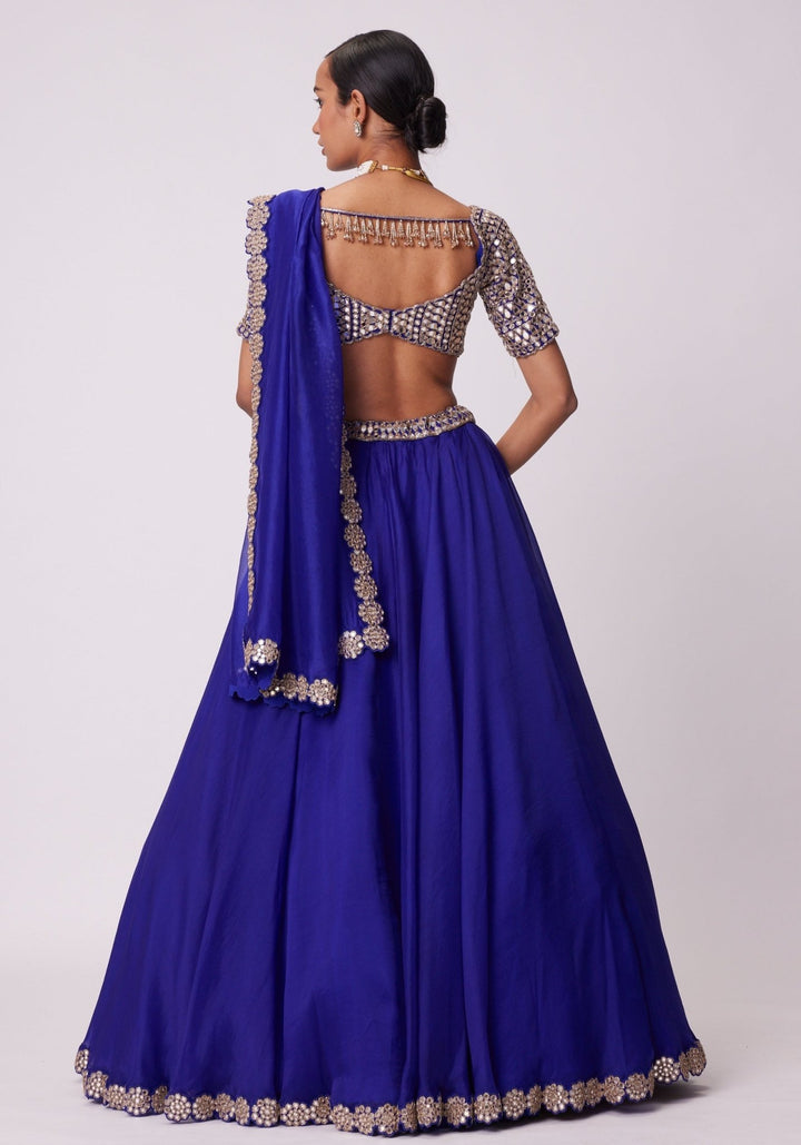 Blue Organza Lehenga With Embroidered Elbow Sleeves Blouse Vvani by Vani Vats - Fabilicious Fashion