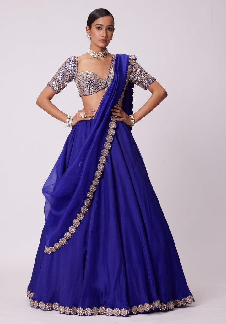 Blue Organza Lehenga With Embroidered Elbow Sleeves Blouse Vvani by Vani Vats - Fabilicious Fashion