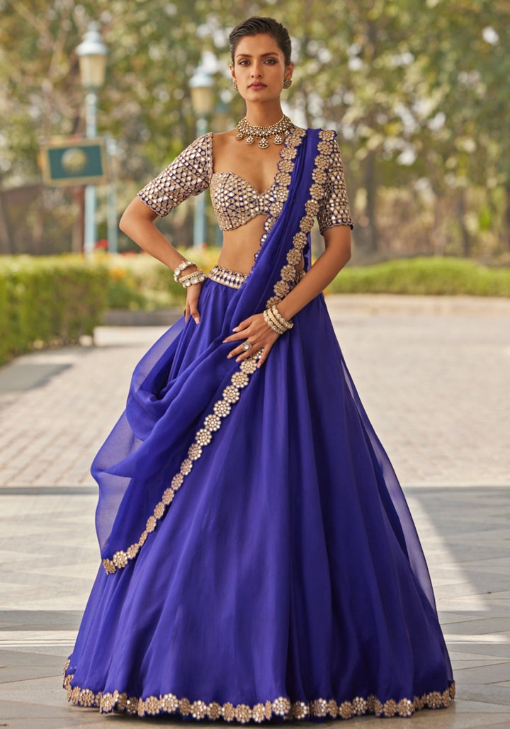 Blue Organza Lehenga With Embroidered Elbow Sleeves Blouse Vvani by Vani Vats - Fabilicious Fashion