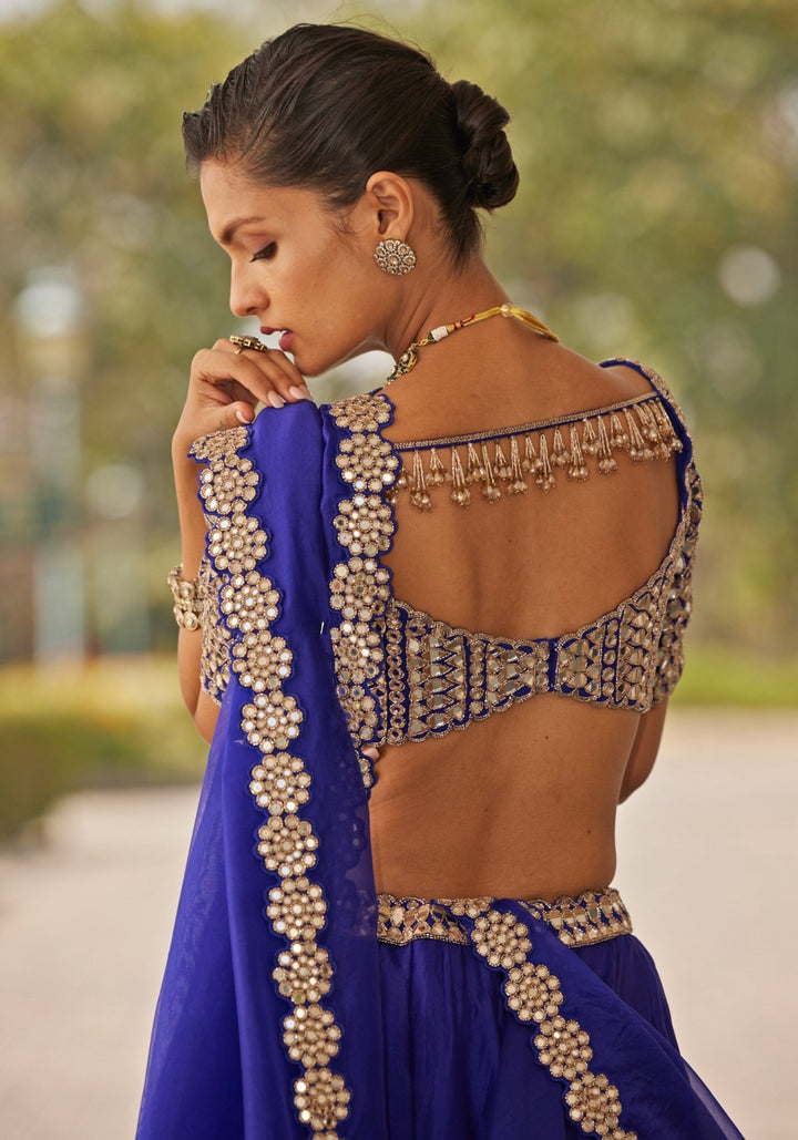 Blue Organza Lehenga With Embroidered Elbow Sleeves Blouse Vvani by Vani Vats - Fabilicious Fashion