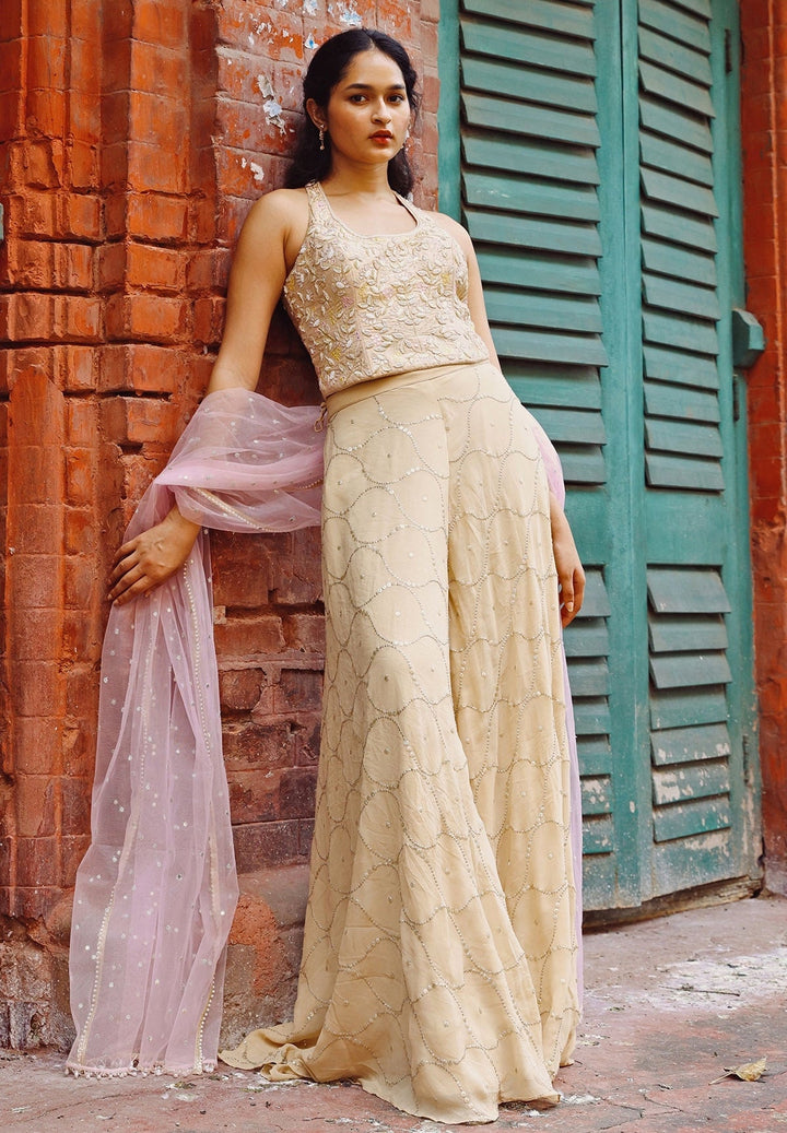 Blush Pink And Beige Blouse Pant Set Chamee and Palak - Fabilicious Fashion