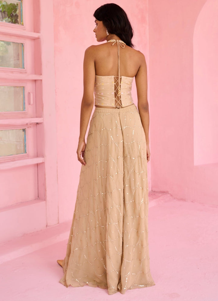 Blush Pink And Beige Blouse Pant Set Chamee and Palak - Fabilicious Fashion