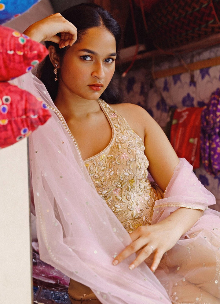 Blush Pink And Beige Blouse Pant Set Chamee and Palak - Fabilicious Fashion