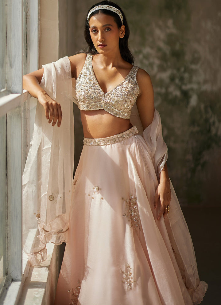 Champagne Pink Embroidered Lehenga Zoon Tribe - Fabilicious Fashion
