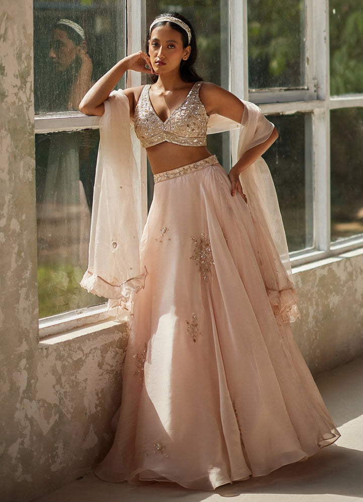 Champagne Pink Embroidered Lehenga Zoon Tribe - Fabilicious Fashion