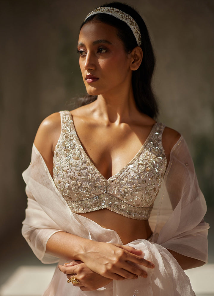 Champagne Pink Embroidered Lehenga Zoon Tribe - Fabilicious Fashion