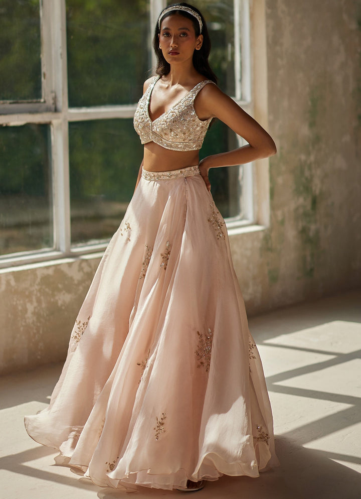Champagne Pink Embroidered Lehenga Zoon Tribe - Fabilicious Fashion