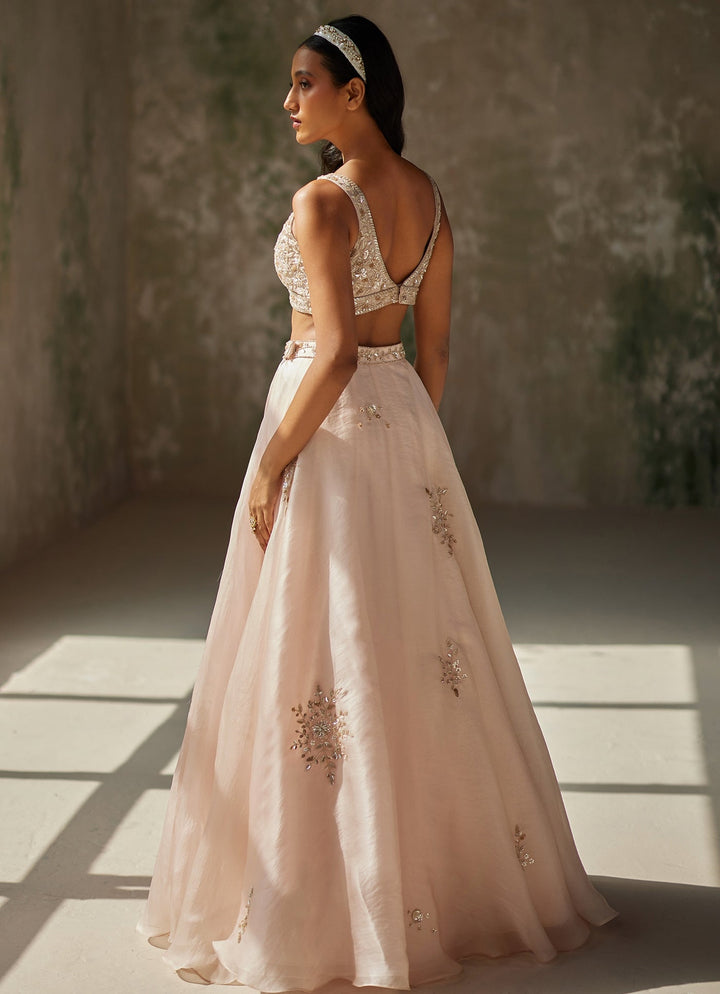 Champagne Pink Embroidered Lehenga Zoon Tribe - Fabilicious Fashion
