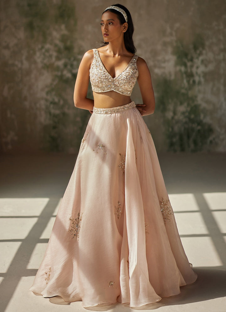 Champagne Pink Embroidered Lehenga Zoon Tribe - Fabilicious Fashion